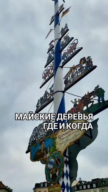 Установка Maibaum почти всегда совершается с помпой! Это настоящий праздник с плясками, песнями, духовыми оркестрами, пивом и едой! 

По традиции на стволе Maibaum гербы ремесленных гильдий.

В 2026 в Мюнхене и окрестностях пройдут следующие мероприятия по установке «майских деревьев»: 

✔️ 01.05 в 10:00 Moosach (St.-Martins-Platz)
✔️01.05 с 09:30 в Bogenhausen Westpreußenstr. 60, München
✔️ 01.05 с 12:00 Neuhausen (Renatastraße 7) 
✔️ 01.05 с 10:00 до 12:00 Forstenried (Forstenrieder Allee 187, Alter Wirt) 
✔️ 01.05 в 10:00 в Karlsfeld перед Rathaus на Bruno-Danzer-Platz 
✔️ 01.05 в 10:00 в Germering на Augsburger Straße / угол Dorfstraße

🤓 Индивидуальные экскурсии по Мюнхену и Баварии в любой день и время по договоренности 👉 www.meetmunich.com
